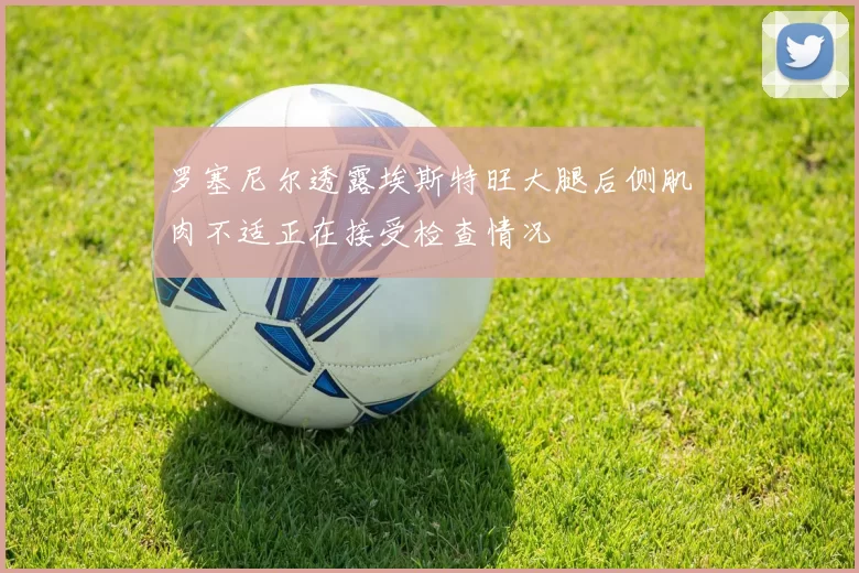 罗塞尼尔透露埃斯特旺大腿后侧肌肉不适正在接受检查情况